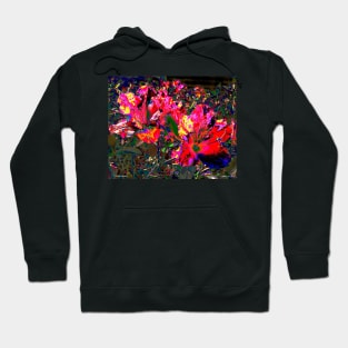 Color Climax Hoodie